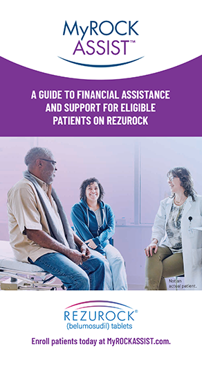 Thumbnail of Kadmon ASSIST Brochure